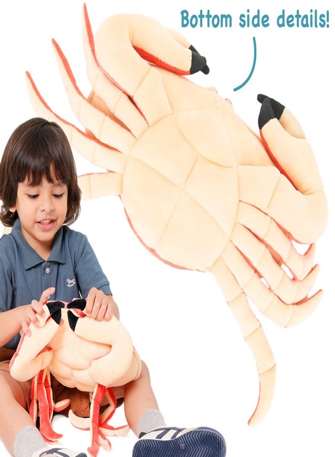 TigerHart دمية تايجر هارت كورا السلطعون - دمية محشوة قطيفة بطول 19 بوصة - Image 3